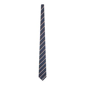 Kiton Men Diagonal Striped Tie